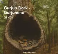 Gurjun Dark Oil - Gurjunene (GB-003) Van Aroma