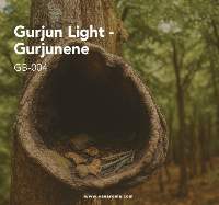 Gurjun Light - Gurjunene (GB-004) Van Aroma