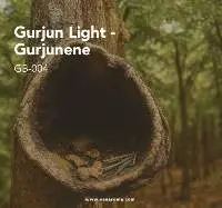 Gurjun Light - Gurjunene (GB-004) Van Aroma