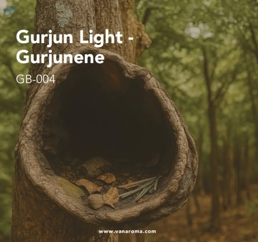 Gurjun Light - Gurjunene (GB-004) Van Aroma