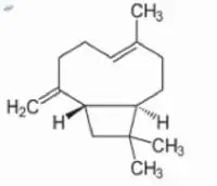 Clove Terpenes (CL-477)