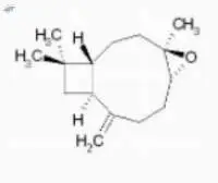 Caryophyllene Oxide (CL-605)