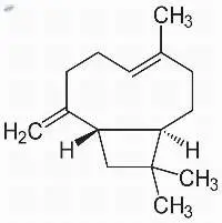 Beta Caryophyllene 85% (CL-601)
