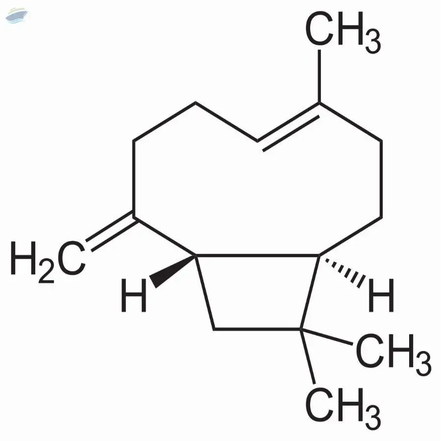 Beta Caryophyllene 90% (CL-602)