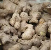Ginger Oil - CO2 (FG-003)