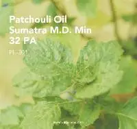 Patchouli Oil Sumatra M.D. (PL-301) Van Aroma