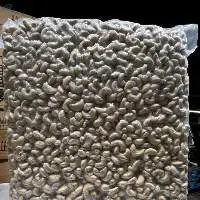 Unroasted Cashew
