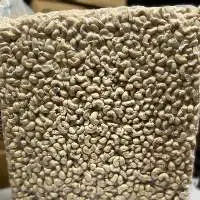 Unroasted Cashew