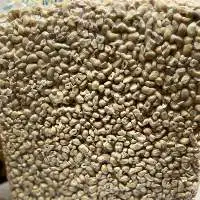 Unroasted Cashew