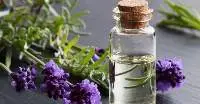 Lavender Oil