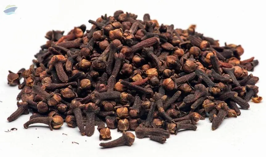 Cloves