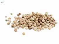 White Pepper