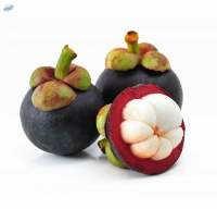 Mangosteen