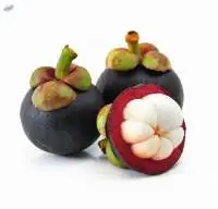 Mangosteen