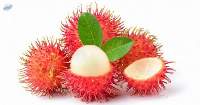 Rambutan Rapiah