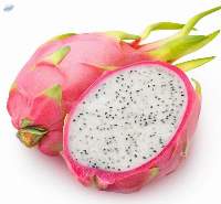 Dragon Fruit