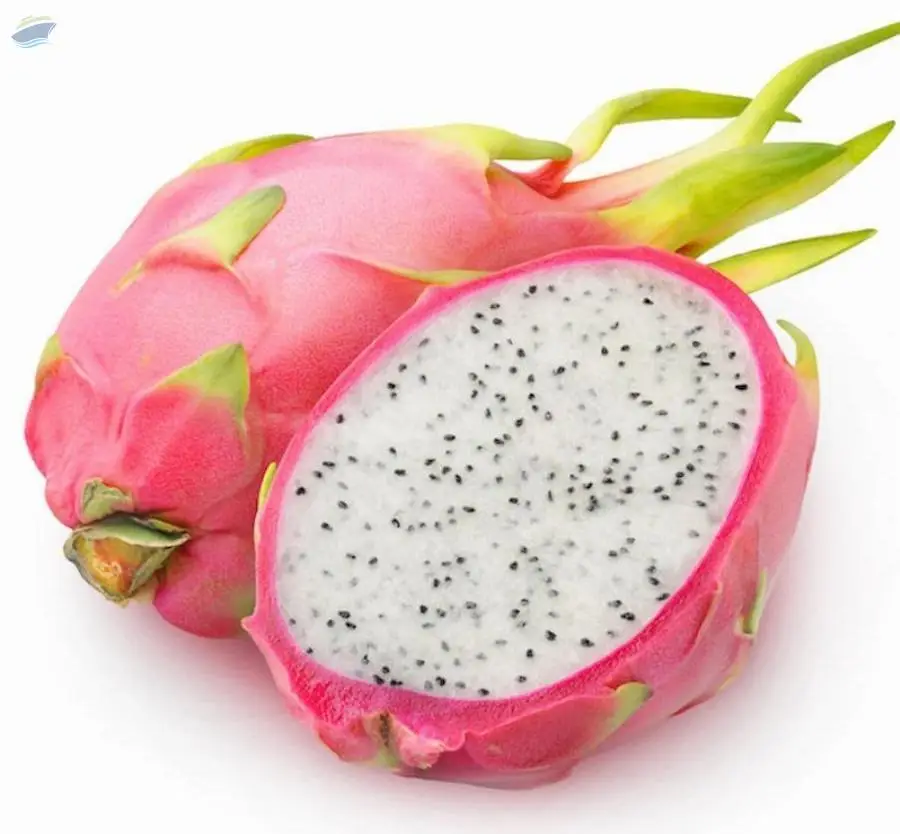 Dragon Fruit
