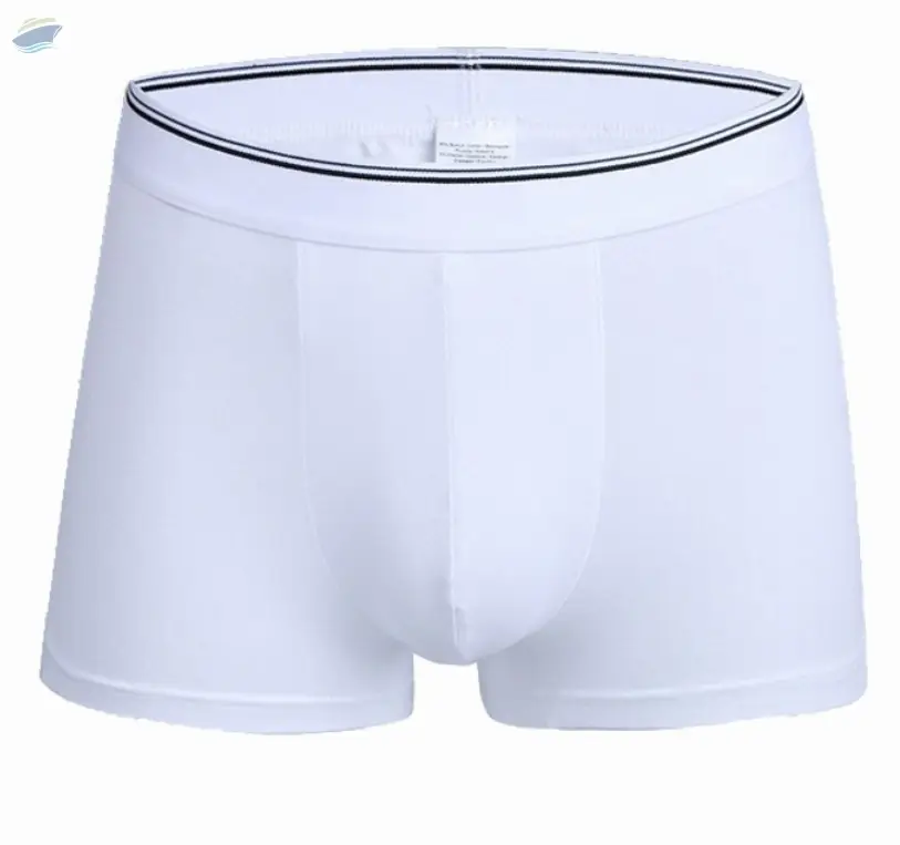 Men's Boxer