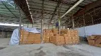 Coconut Fiber / Coconut Coir