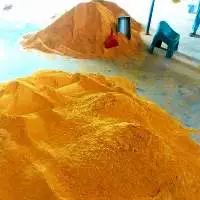 Turmeric Powder