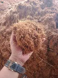 Coco Peat