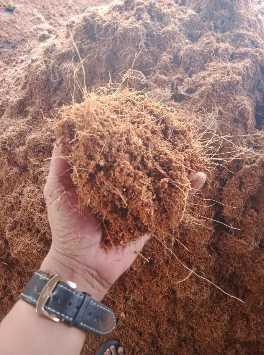 Coco Peat