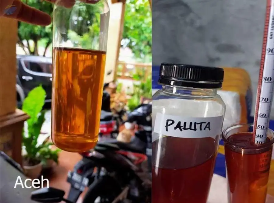 Patchouli Oil