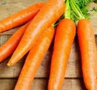 Carrot