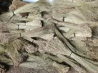 Broom Stick - Palm Plantation