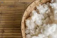 Cotton