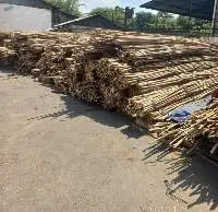Rattan Batang Skin