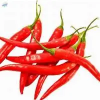 Chili