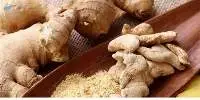 Ginger