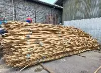 Rattan Manao