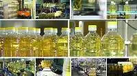 Coconut Oil