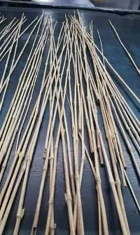 Bamboo Garden