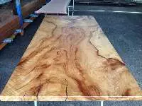 Camphor Laurel Wood