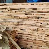 Mango Wood