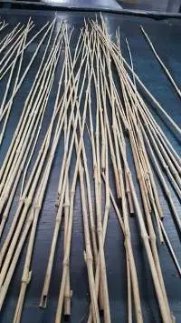 Bamboo Garden