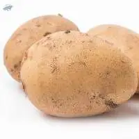 Potato