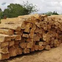 Round Wood Logs
