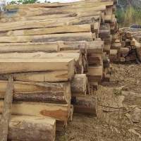 Rough Square Wood Logs
