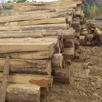 Rough Square Wood Logs