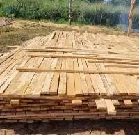 Teak Wood