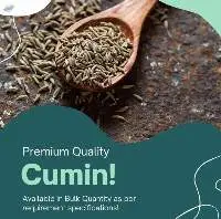 Cumin