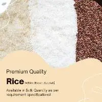 Rice