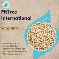 Indian Millet