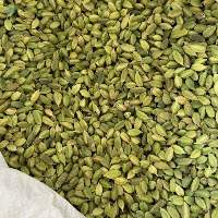 Cardamom