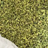 Cardamom