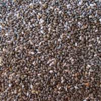 Chia seeds